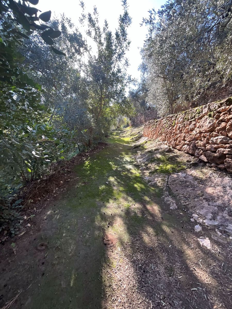 Undeveloped Land for sale in Pinos del Valle - € 52,000 (Ref: 9772806)