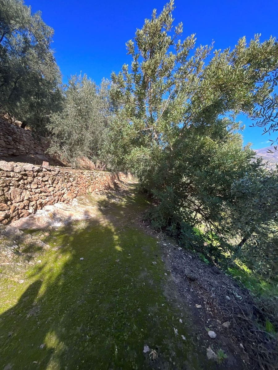 Undeveloped Land for sale in Pinos del Valle - € 52,000 (Ref: 9772806)