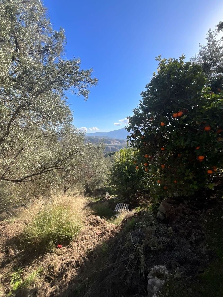 Undeveloped Land for sale in Pinos del Valle - € 52,000 (Ref: 9772806)