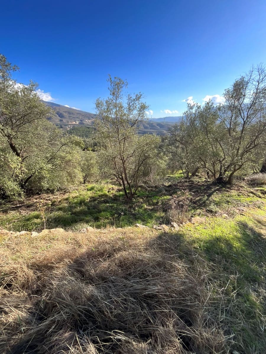 Undeveloped Land for sale in Pinos del Valle - € 52,000 (Ref: 9772806)