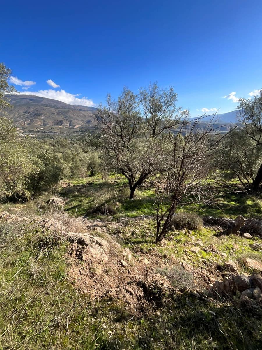 Undeveloped Land for sale in Pinos del Valle - € 52,000 (Ref: 9772806)