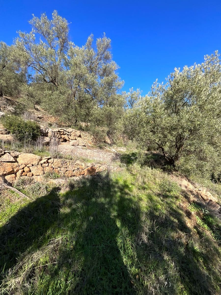 Undeveloped Land for sale in Pinos del Valle - € 52,000 (Ref: 9772806)