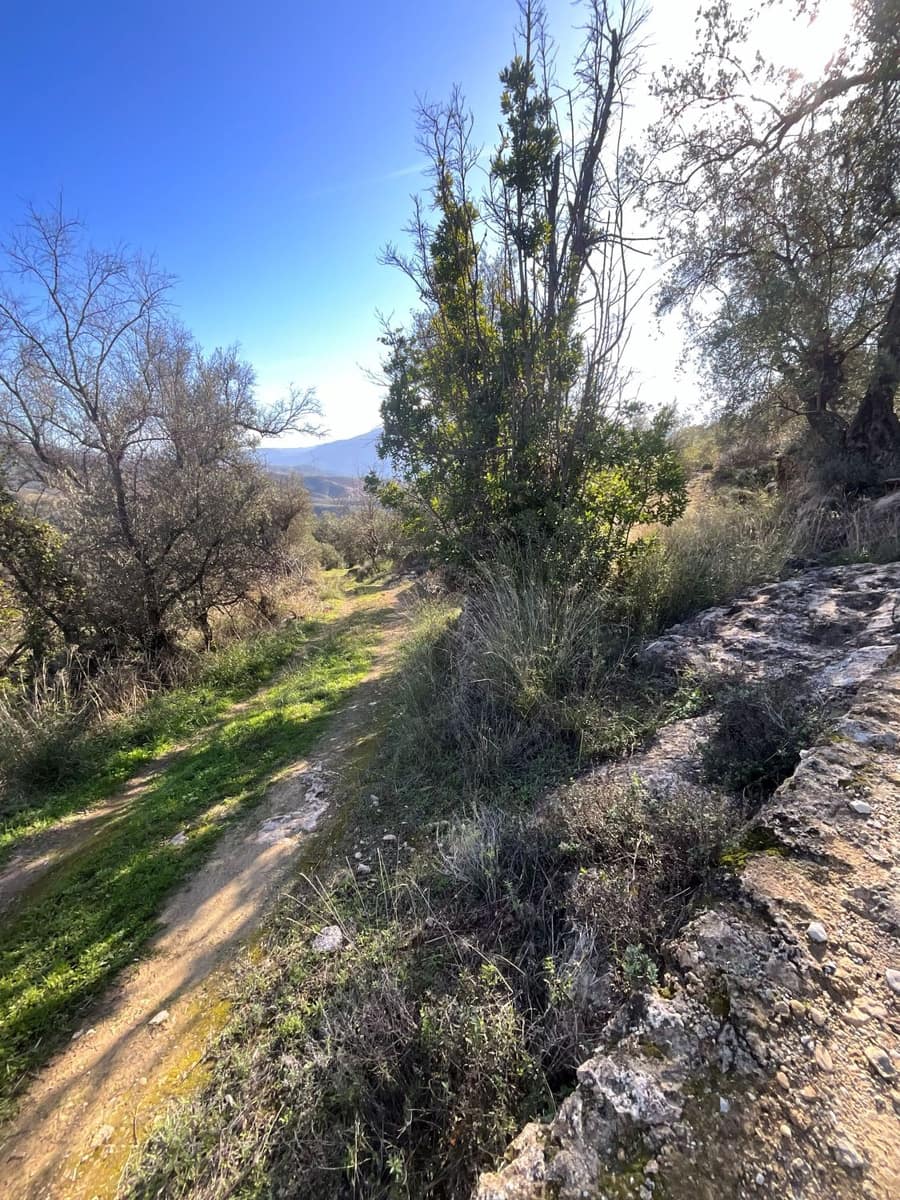Undeveloped Land for sale in Pinos del Valle - € 52,000 (Ref: 9772806)