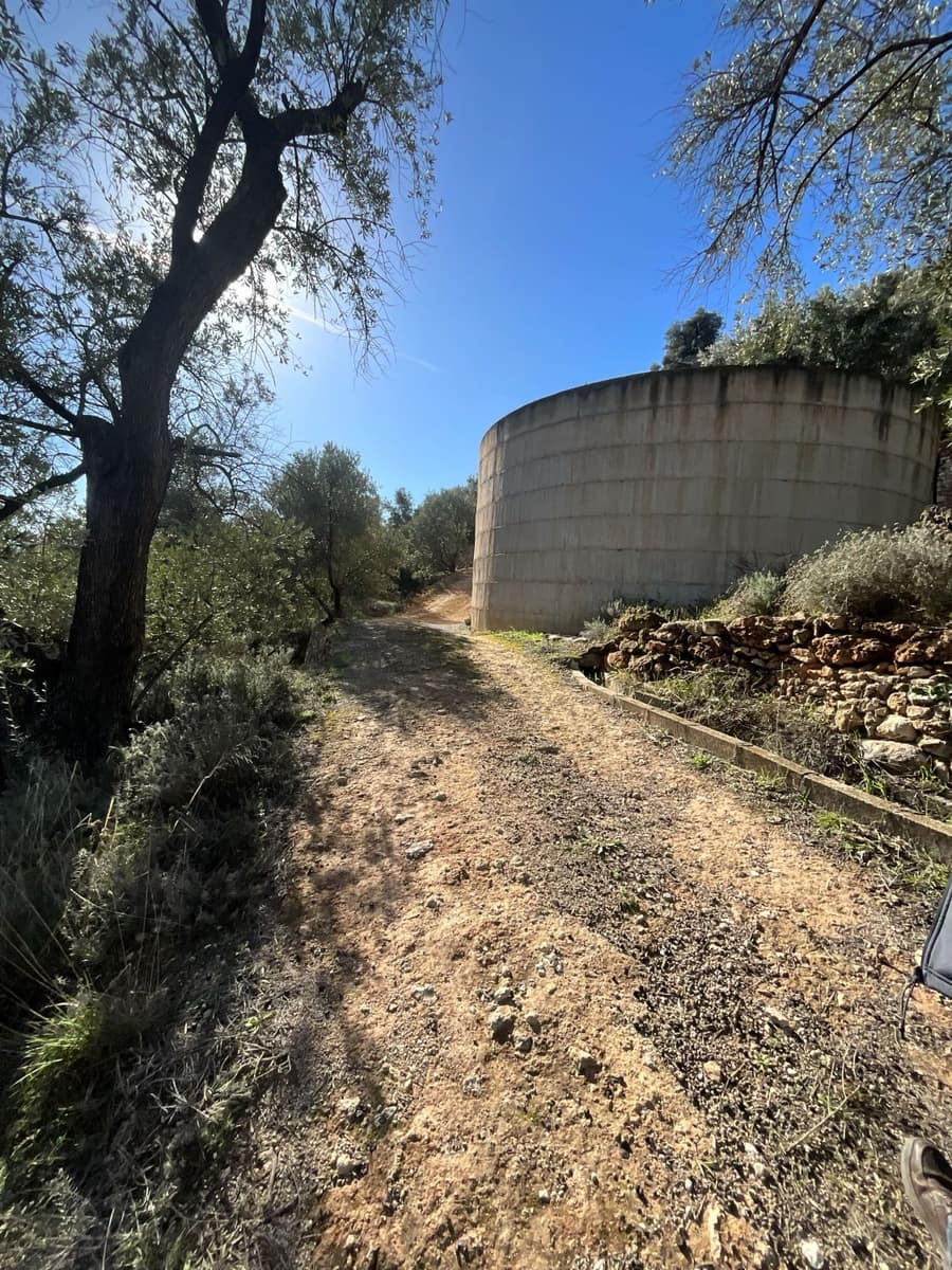 Undeveloped Land for sale in Pinos del Valle - € 52,000 (Ref: 9772806)