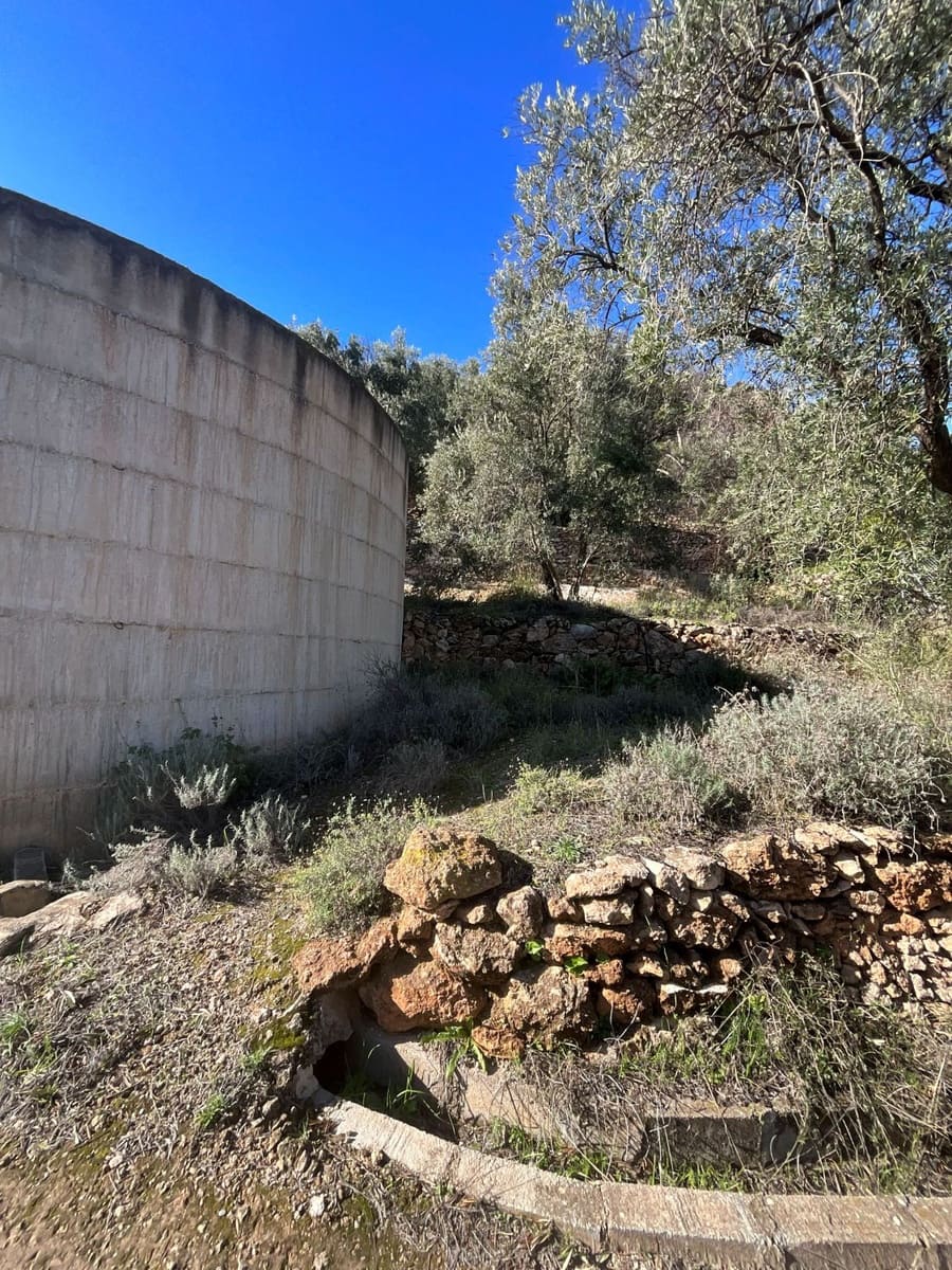 Undeveloped Land for sale in Pinos del Valle - € 52,000 (Ref: 9772806)