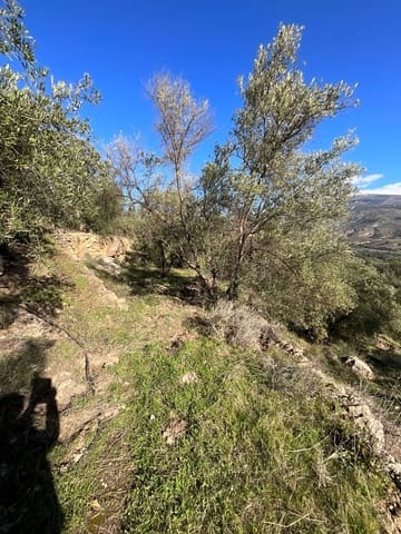 Terreno Non Edificato in vendita in Pinos del Valle, El Pinar - 52.000 € (Rif: 9772806)
