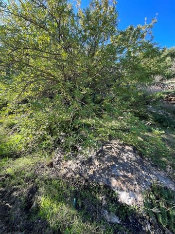 Terreno Non Edificato in vendita in Pinos del Valle, El Pinar - 52.000 € (Rif: 9772806)