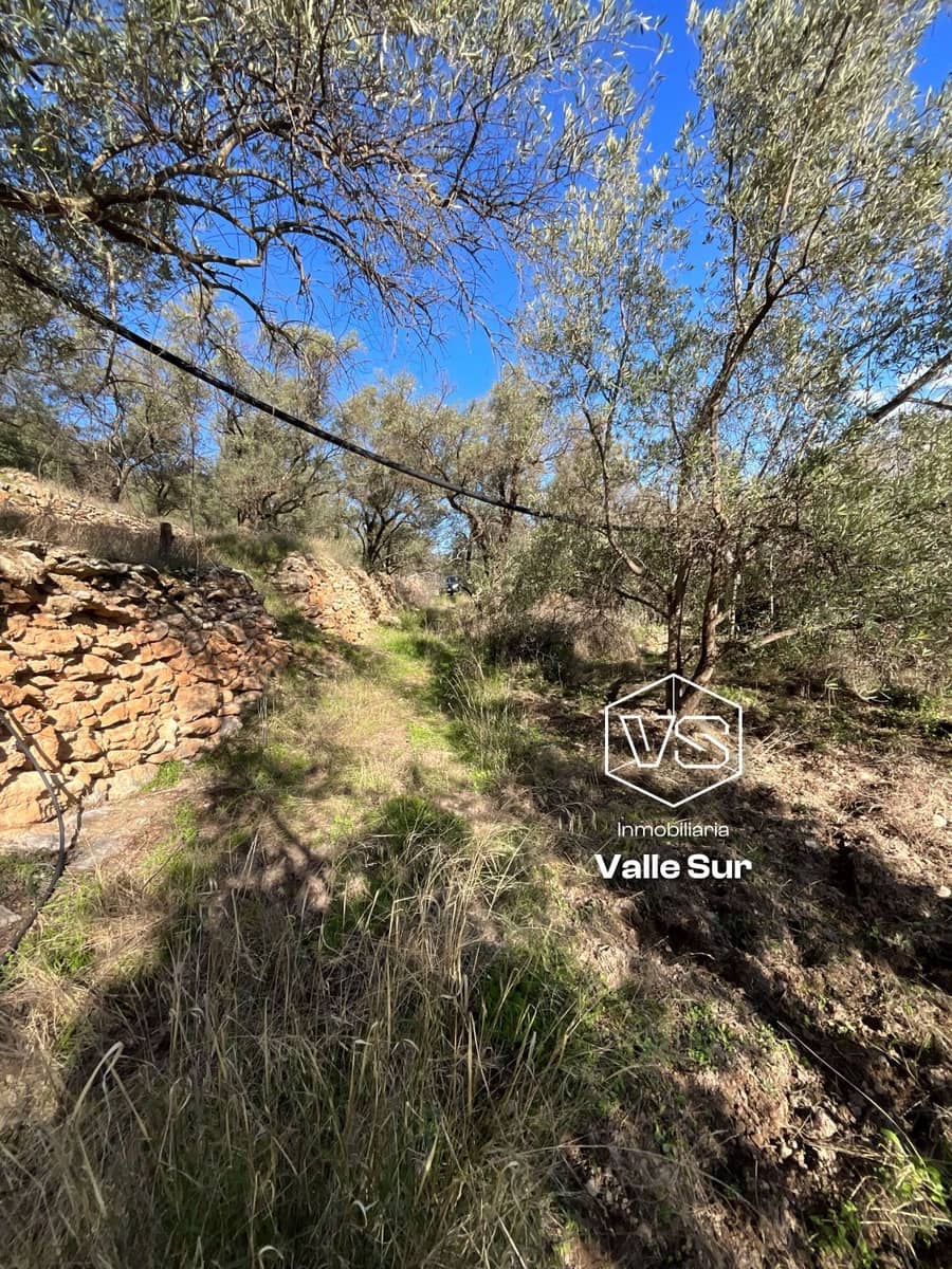 Undeveloped Land for sale in Pinos del Valle - € 52,000 (Ref: 9772806)