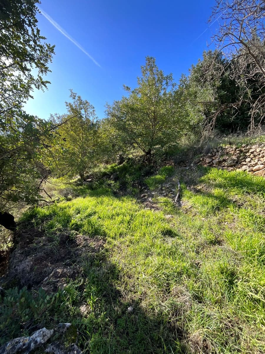 Undeveloped Land for sale in Pinos del Valle - € 52,000 (Ref: 9772806)