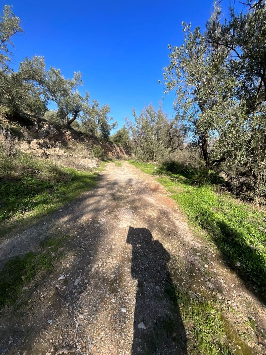 Undeveloped Land for sale in Pinos del Valle - € 52,000 (Ref: 9772806)