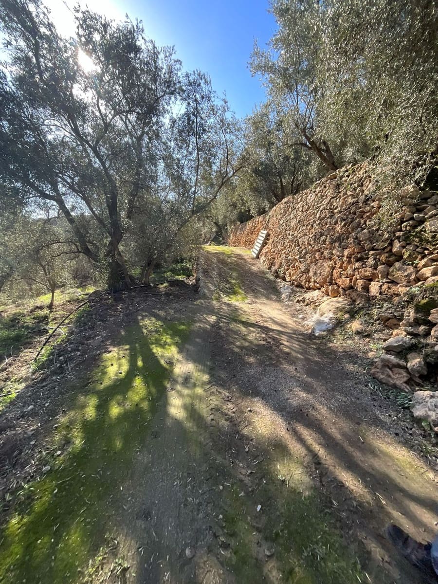 Undeveloped Land for sale in Pinos del Valle - € 52,000 (Ref: 9772806)