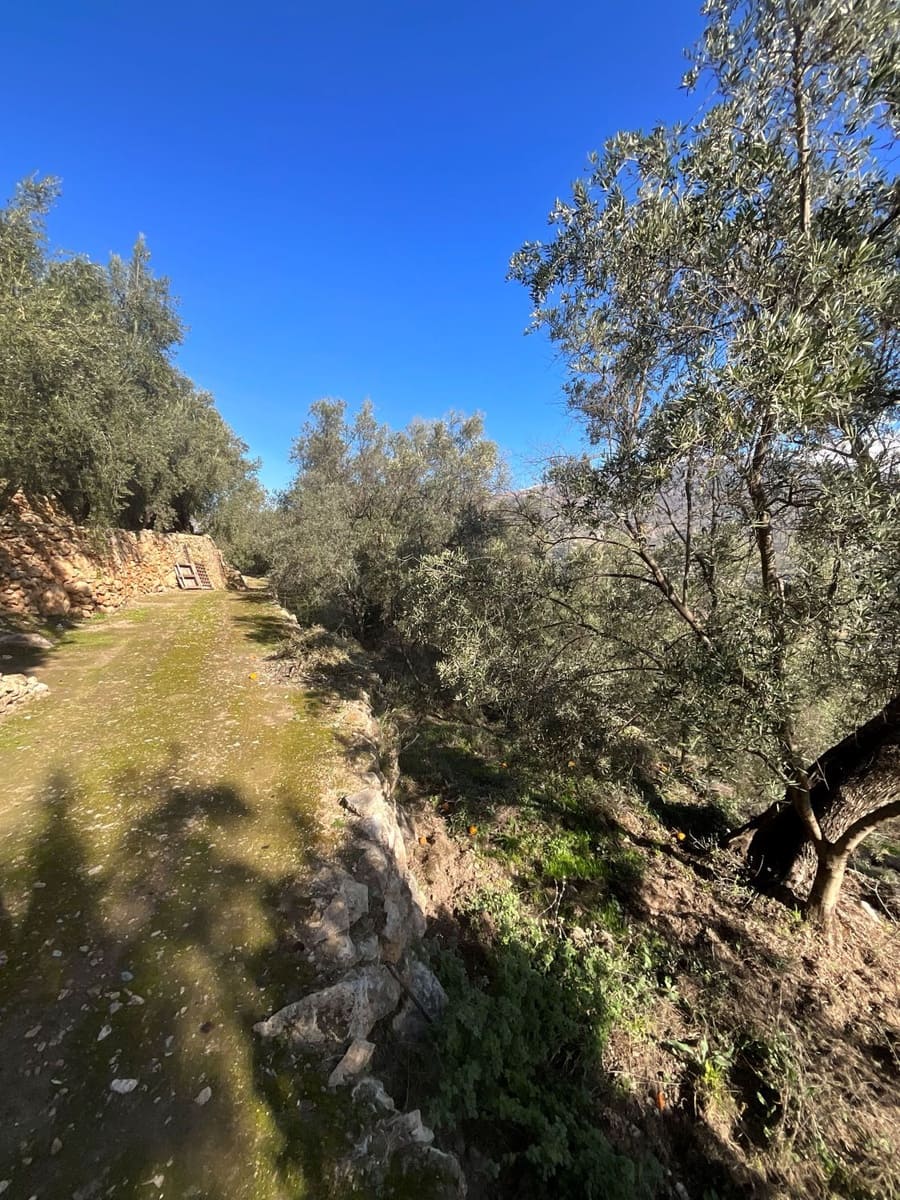 Undeveloped Land for sale in Pinos del Valle - € 52,000 (Ref: 9772806)