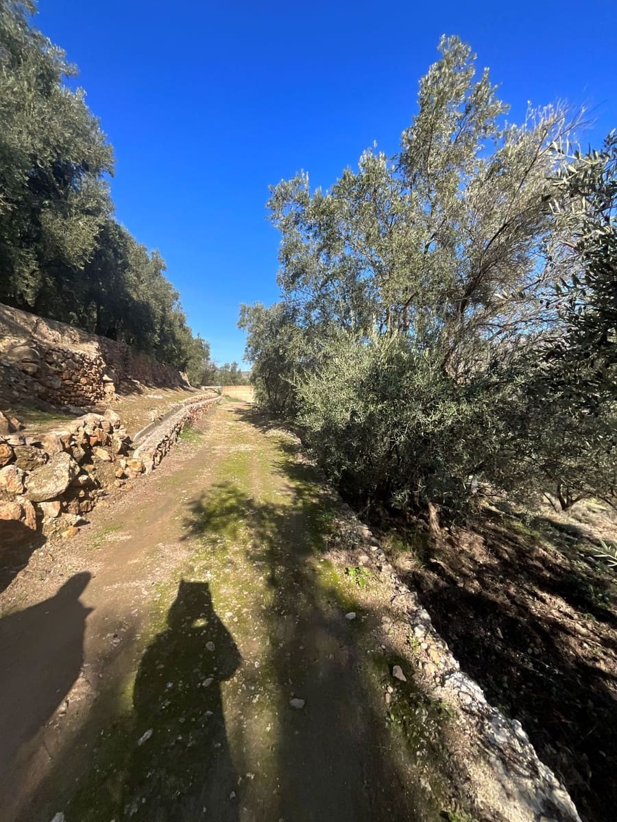 Undeveloped Land for sale in Pinos del Valle - € 52,000 (Ref: 9772806)