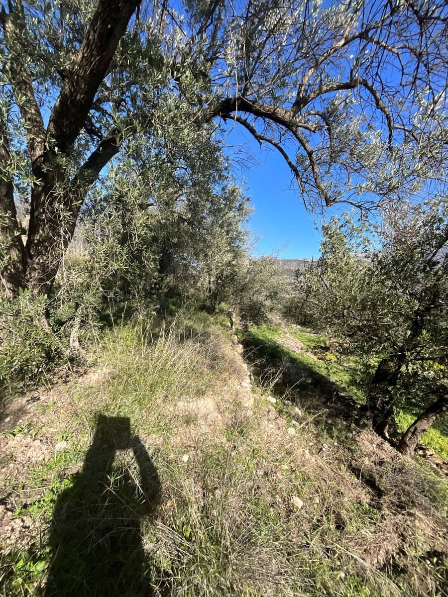 Undeveloped Land for sale in Pinos del Valle - € 52,000 (Ref: 9772806)