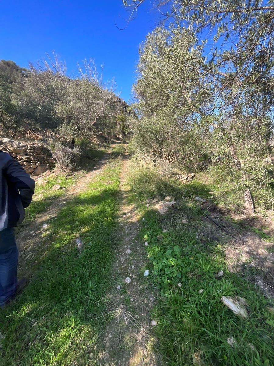 Undeveloped Land for sale in Pinos del Valle - € 52,000 (Ref: 9772806)