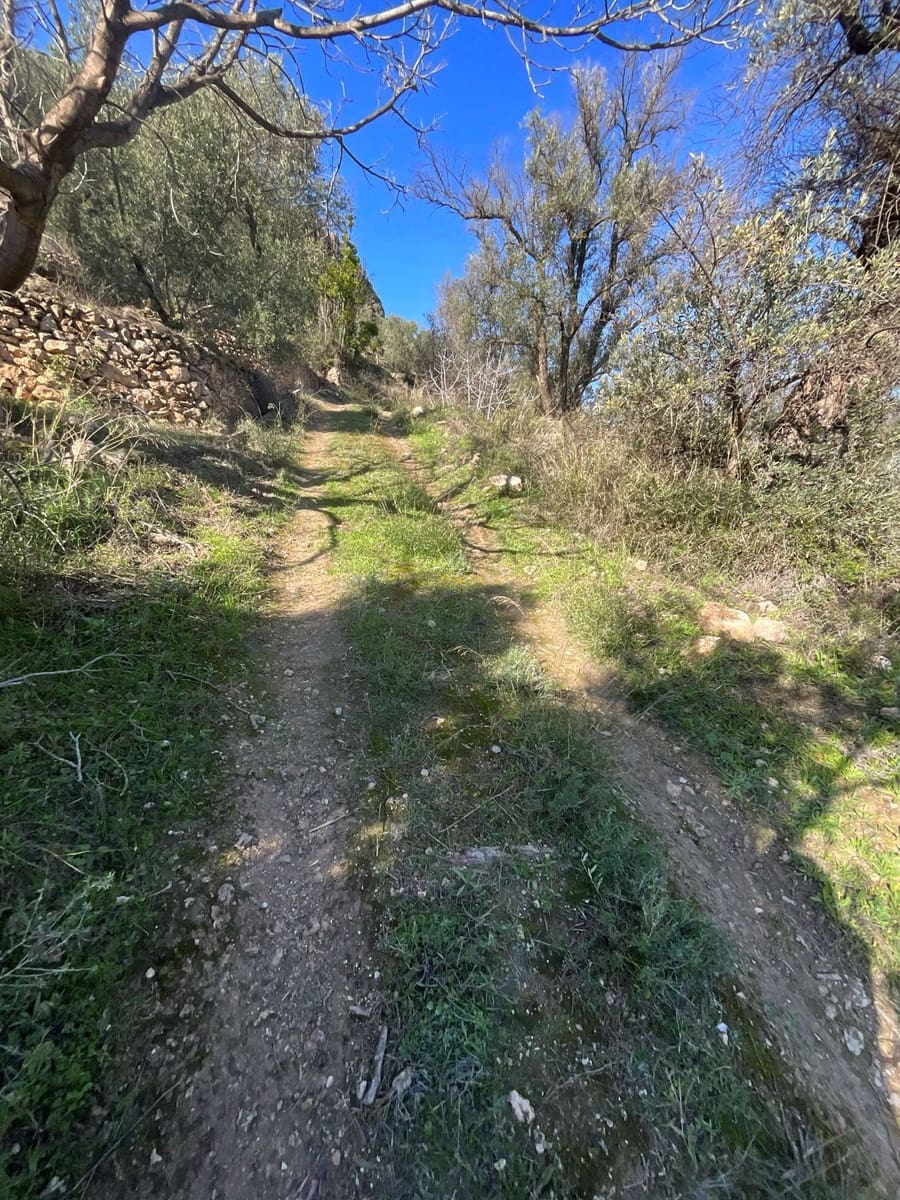 Undeveloped Land for sale in Pinos del Valle - € 52,000 (Ref: 9772806)