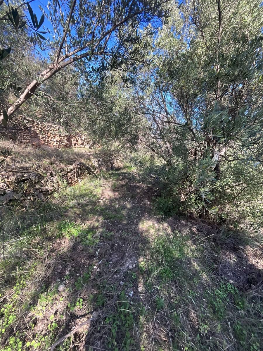 Undeveloped Land for sale in Pinos del Valle - € 52,000 (Ref: 9772806)