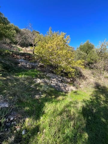 Terreno Non Edificato in vendita in Pinos del Valle, El Pinar - 52.000 € (Rif: 9772806)