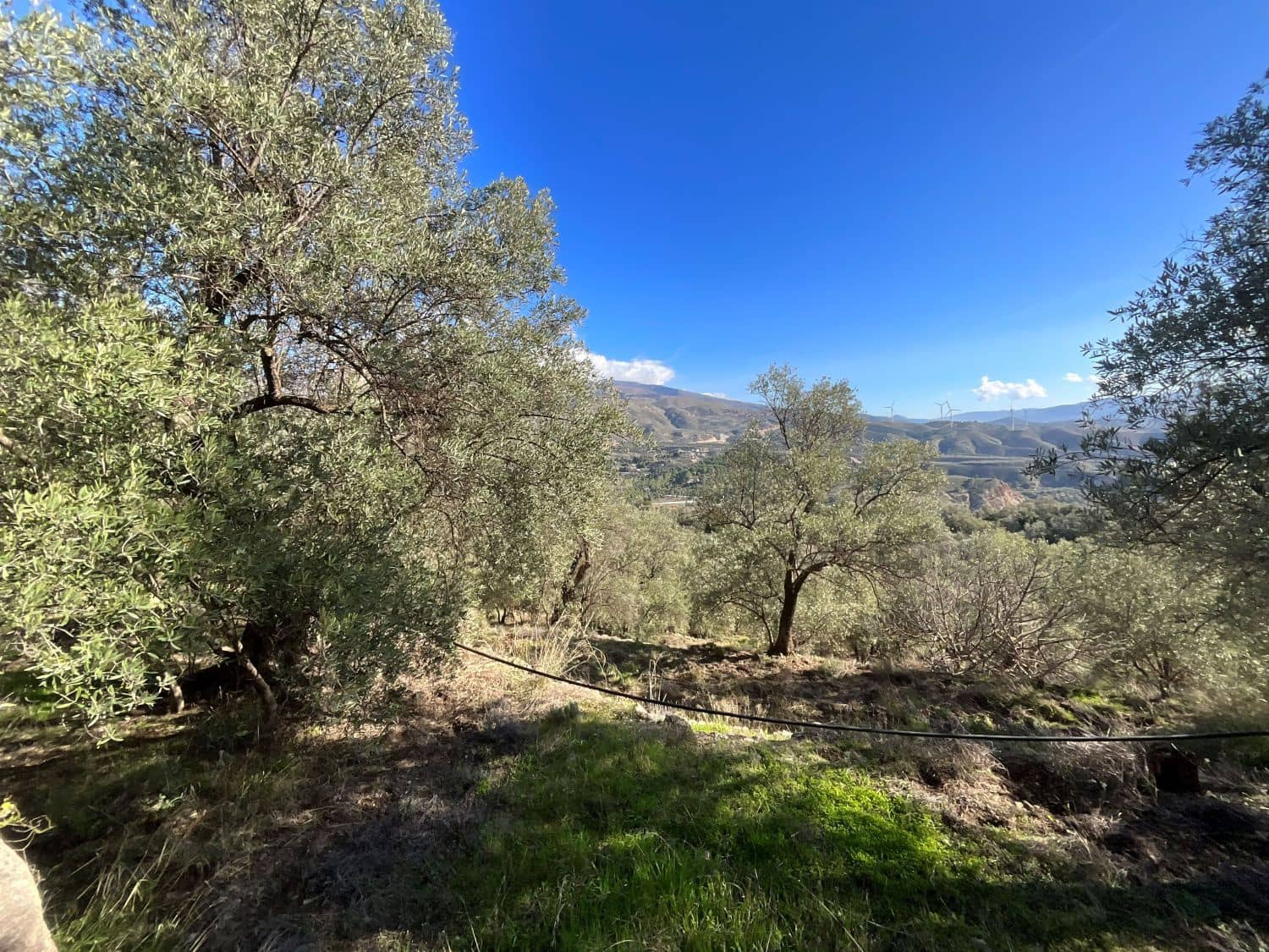 Undeveloped Land for sale in Pinos del Valle - € 52,000 (Ref: 9772806)