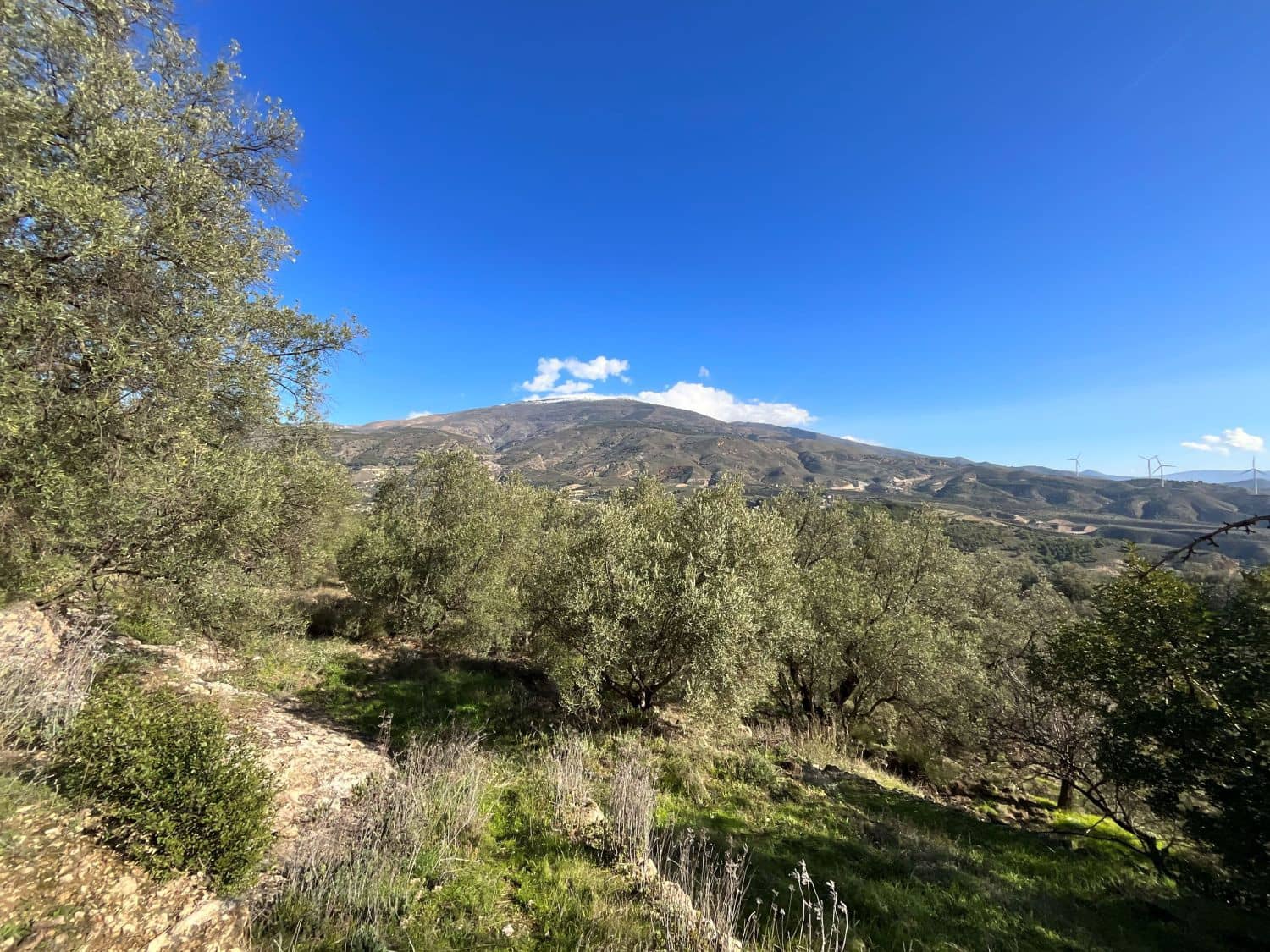 Undeveloped Land for sale in Pinos del Valle - € 52,000 (Ref: 9772806)