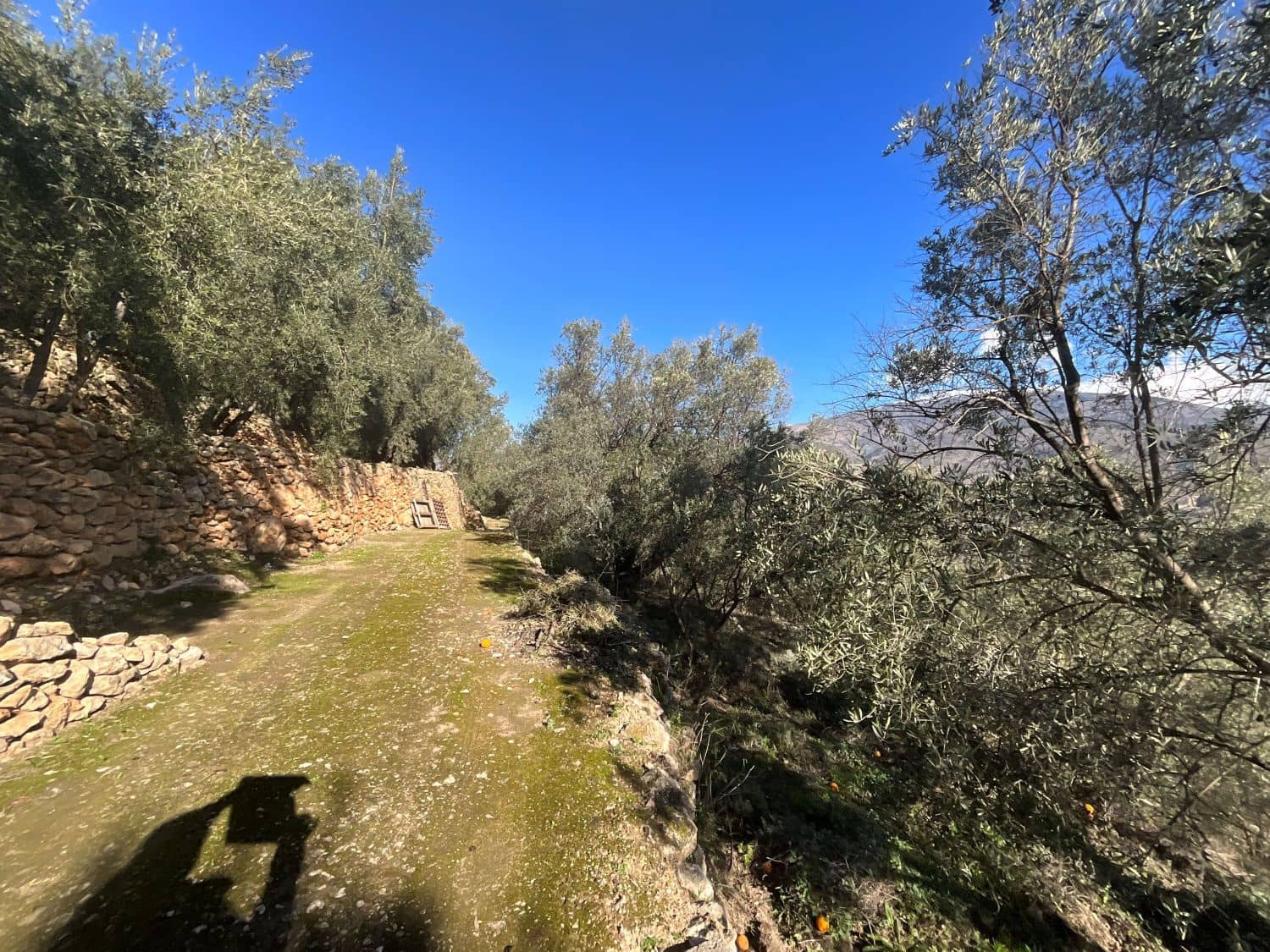 Undeveloped Land for sale in Pinos del Valle - € 52,000 (Ref: 9772806)