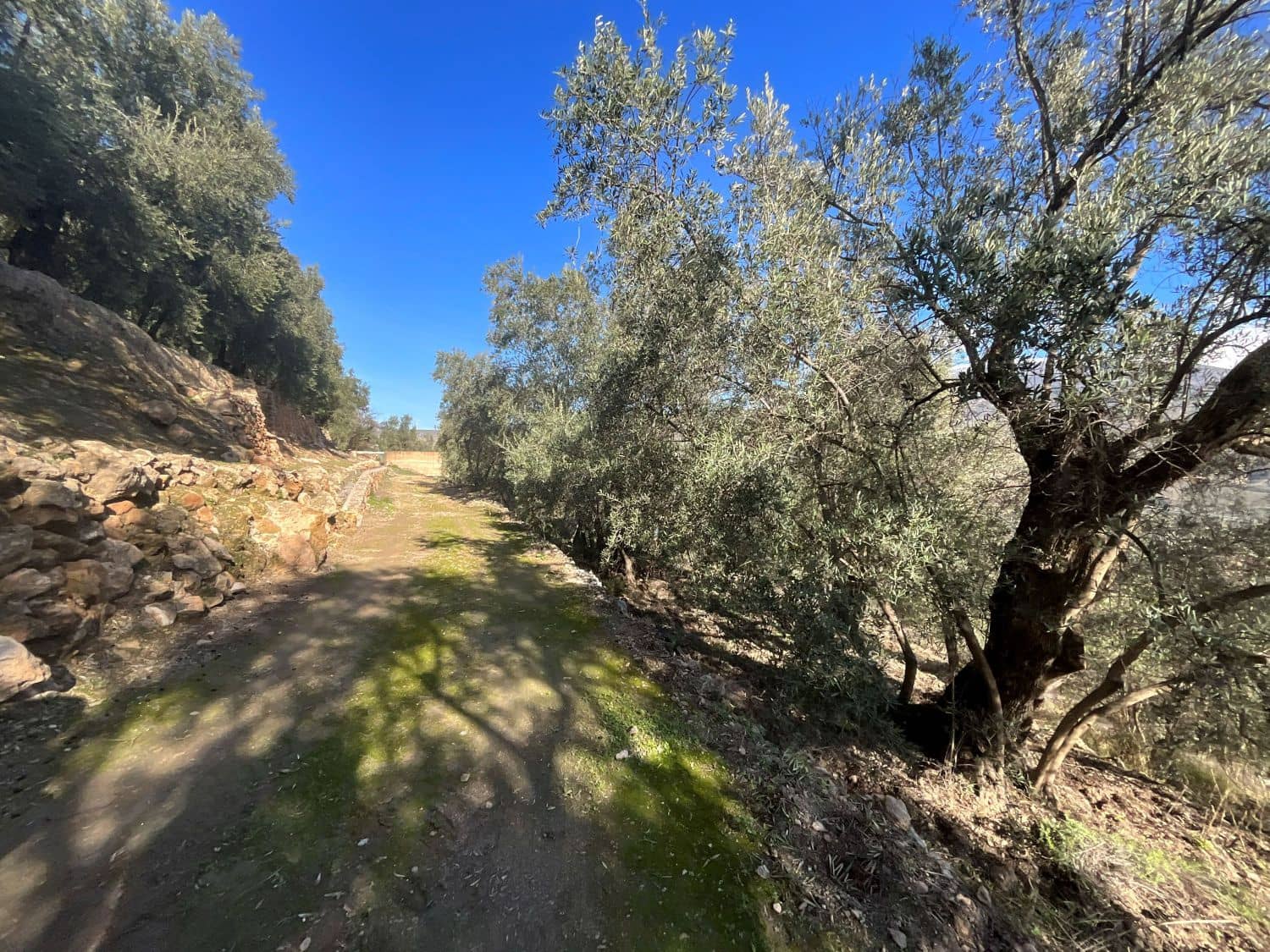 Undeveloped Land for sale in Pinos del Valle - € 52,000 (Ref: 9772806)
