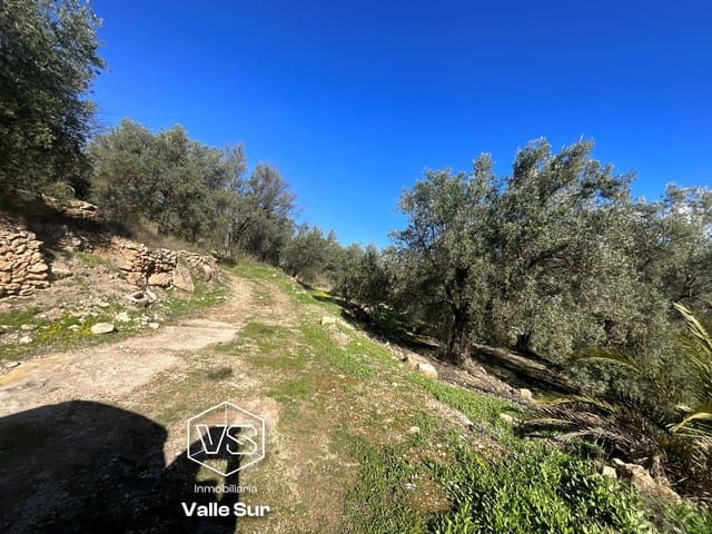 Terreno Non Edificato in vendita in Pinos del Valle, El Pinar - 52.000 € (Rif: 9772806)