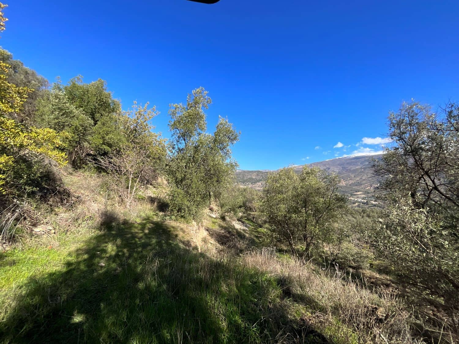 Undeveloped Land for sale in Pinos del Valle - € 52,000 (Ref: 9772806)
