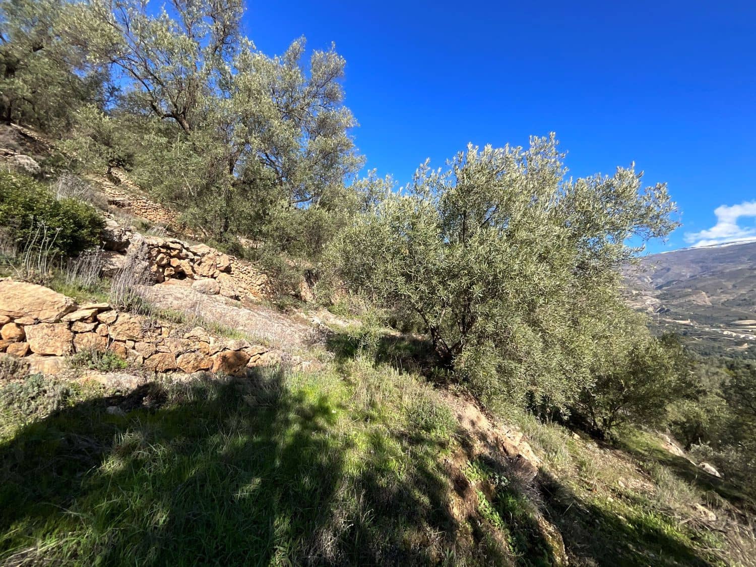 Undeveloped Land for sale in Pinos del Valle - € 52,000 (Ref: 9772806)