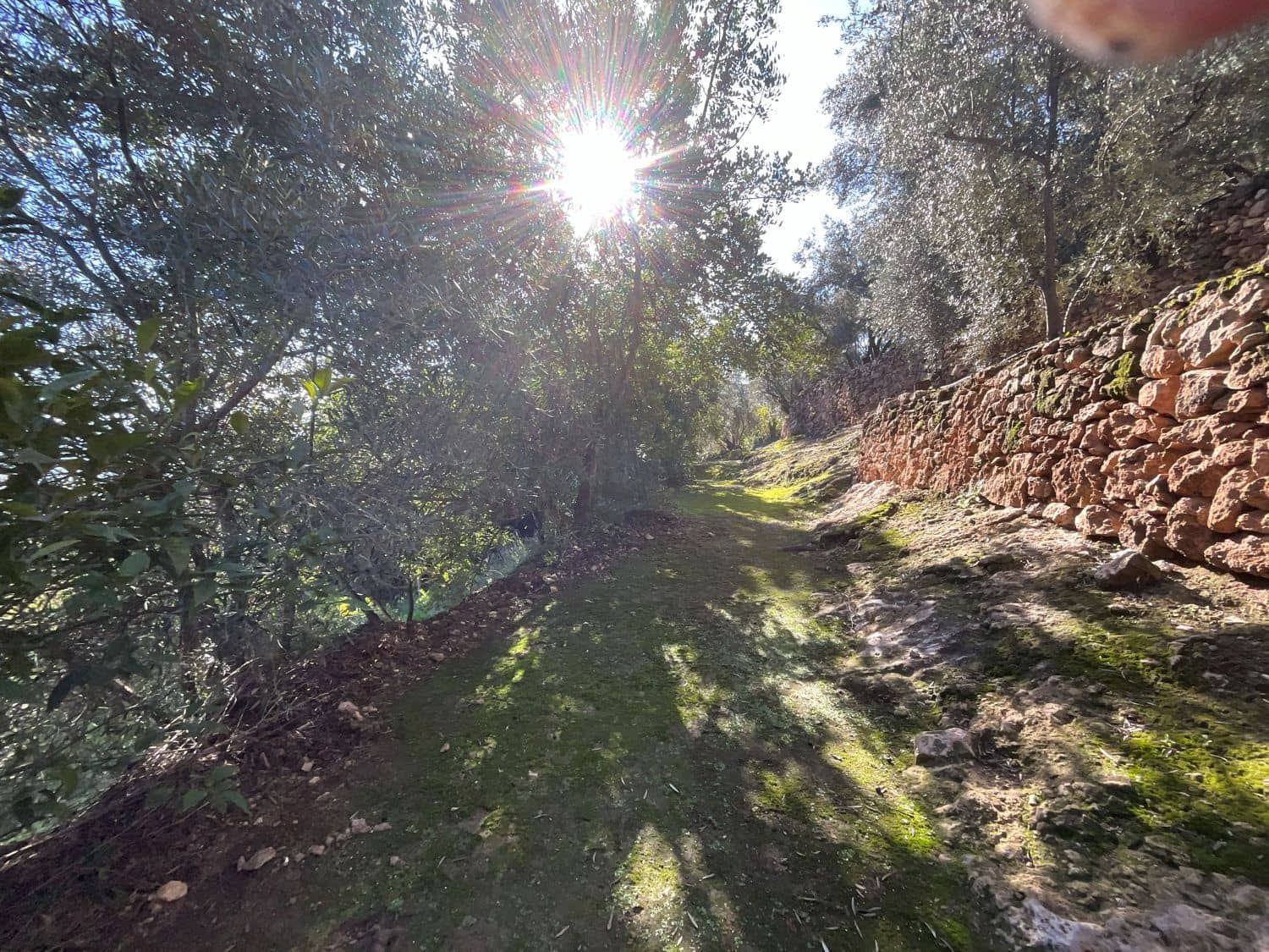 Undeveloped Land for sale in Pinos del Valle - € 52,000 (Ref: 9772806)