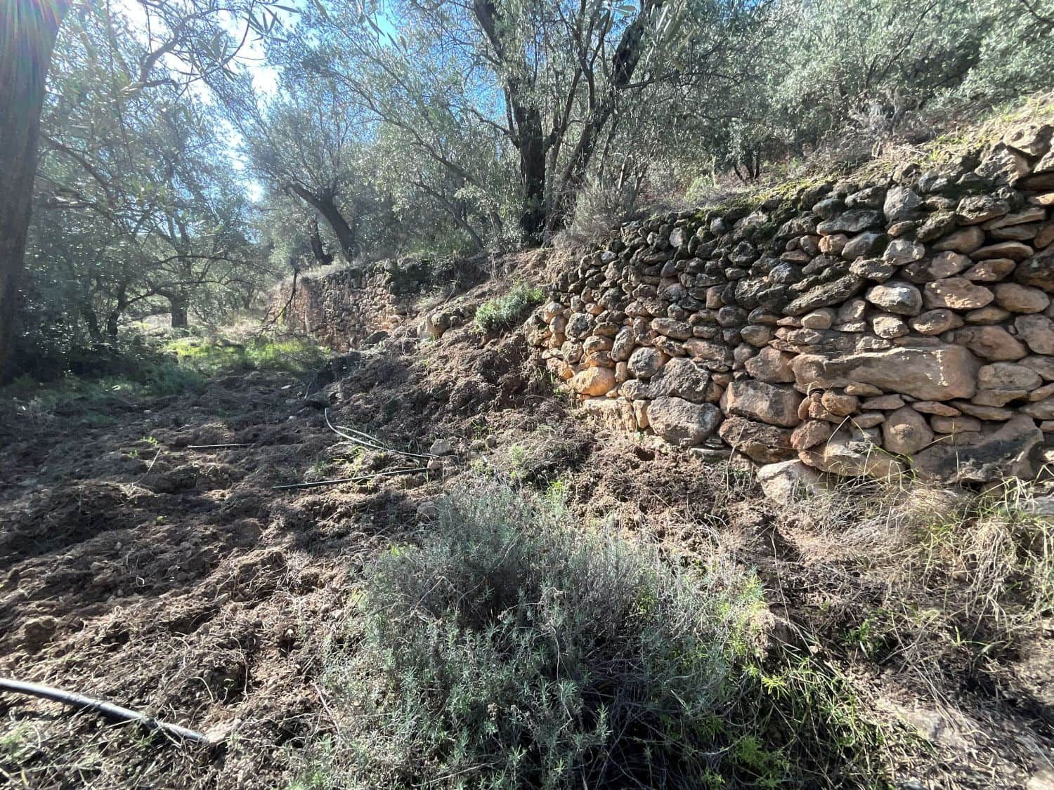 Undeveloped Land for sale in Pinos del Valle - € 52,000 (Ref: 9772806)