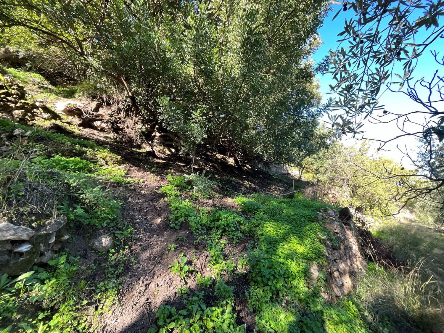 Undeveloped Land for sale in Pinos del Valle - € 52,000 (Ref: 9772806)