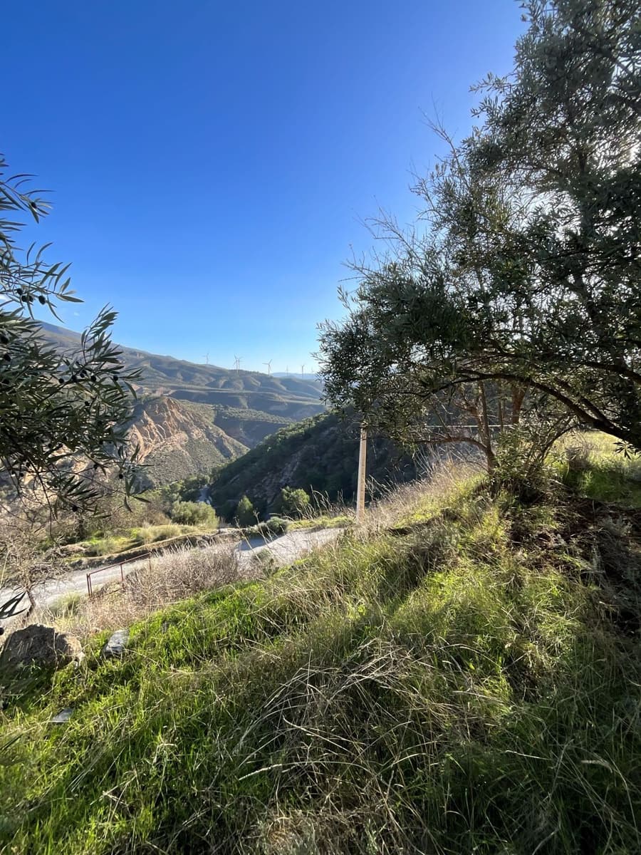 Undeveloped Land for sale in Pinos del Valle - € 37,000 (Ref: 9772807)