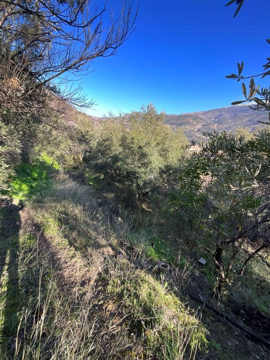 Undeveloped Land for sale in Pinos del Valle - € 37,000 (Ref: 9772807)