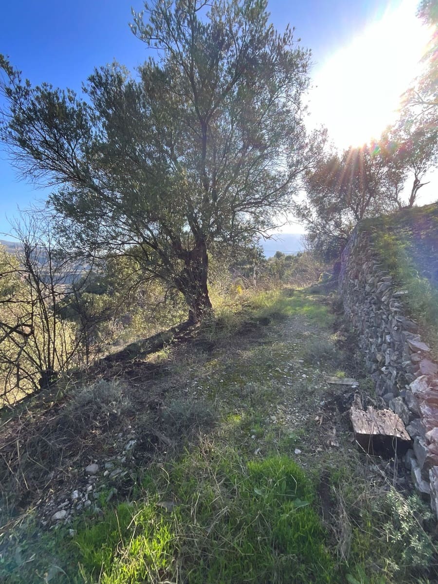 Undeveloped Land for sale in Pinos del Valle - € 37,000 (Ref: 9772807)