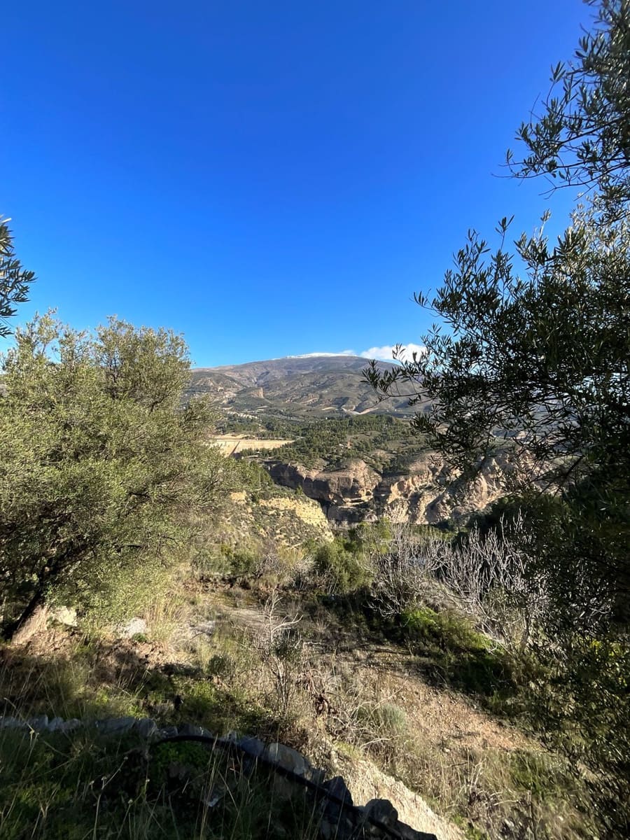 Undeveloped Land for sale in Pinos del Valle - € 37,000 (Ref: 9772807)