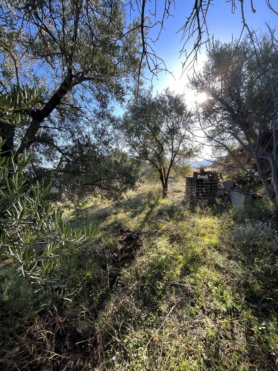 Undeveloped Land for sale in Pinos del Valle - € 37,000 (Ref: 9772807)