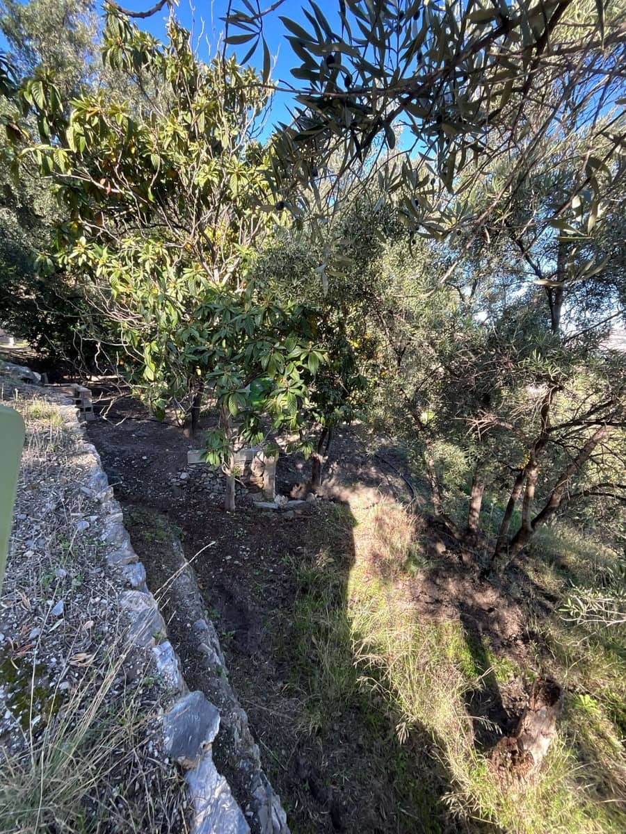 Undeveloped Land for sale in Pinos del Valle - € 37,000 (Ref: 9772807)