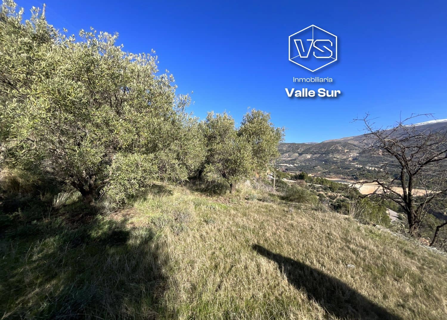 Undeveloped Land for sale in Pinos del Valle - € 37,000 (Ref: 9772807)