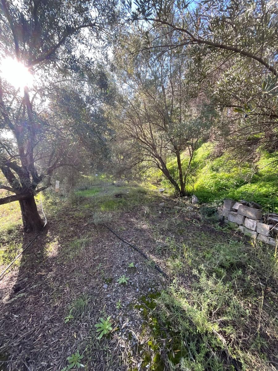 Undeveloped Land for sale in Pinos del Valle - € 37,000 (Ref: 9772807)