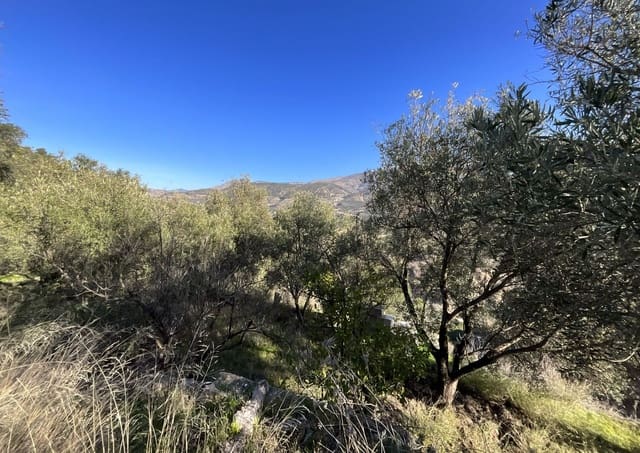 Terreno Non Edificato in vendita in Pinos del Valle, El Pinar - 37.000 € (Rif: 9772807)