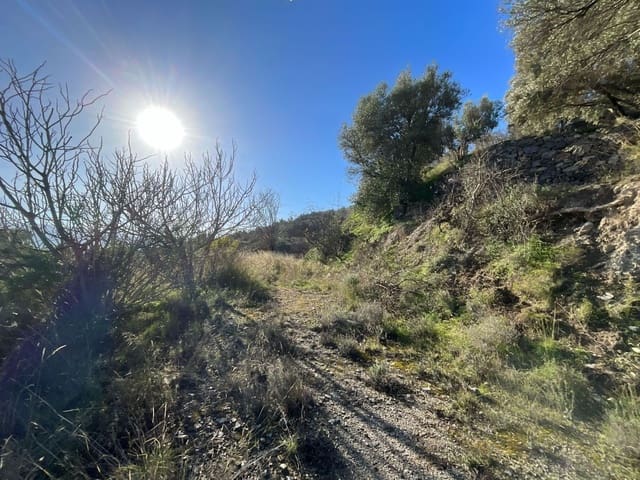 Terreno Non Edificato in vendita in Pinos del Valle, El Pinar - 37.000 € (Rif: 9772807)