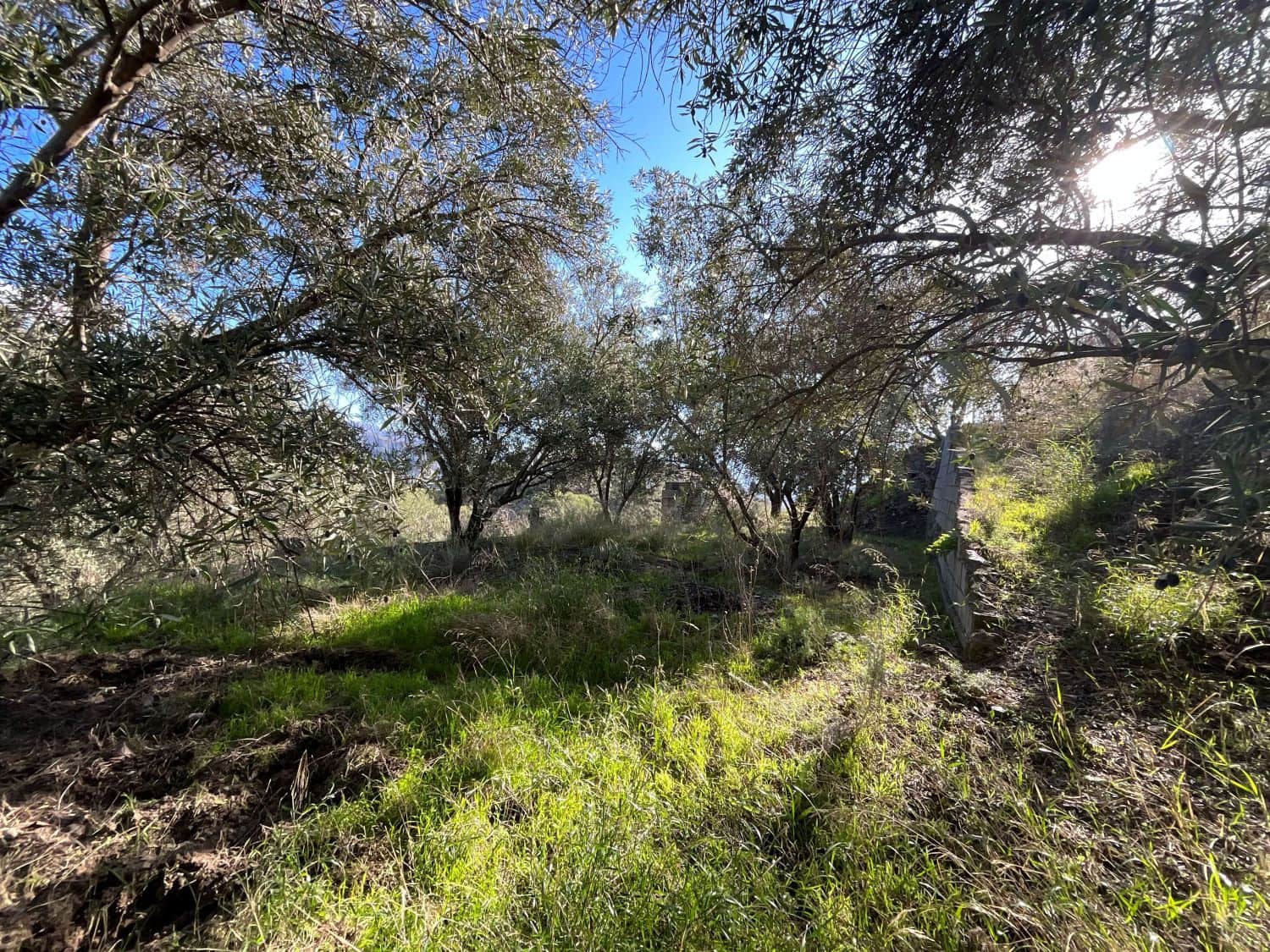 Undeveloped Land for sale in Pinos del Valle - € 37,000 (Ref: 9772807)