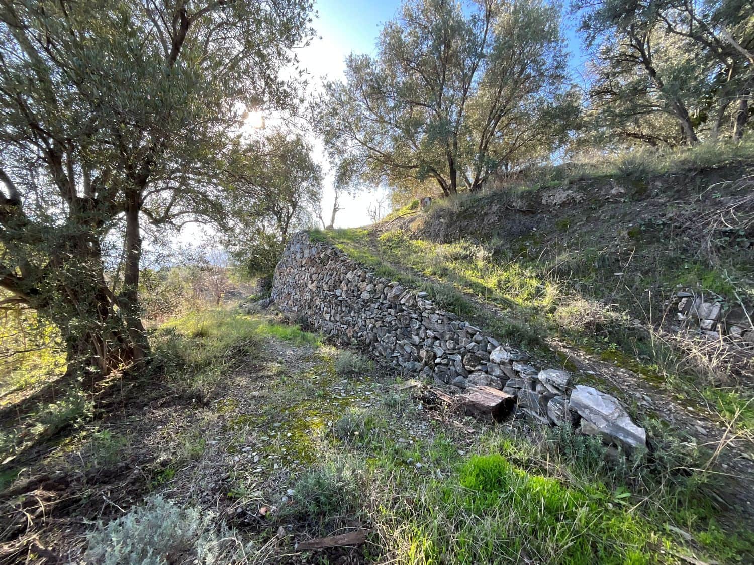 Undeveloped Land for sale in Pinos del Valle - € 37,000 (Ref: 9772807)