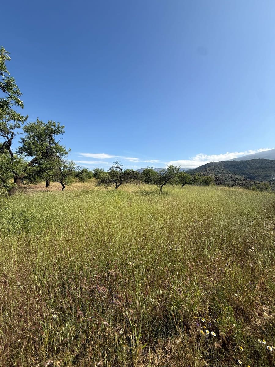 Finca/Landhuis te koop in Chite - € 89.000 (Ref: 9822374)