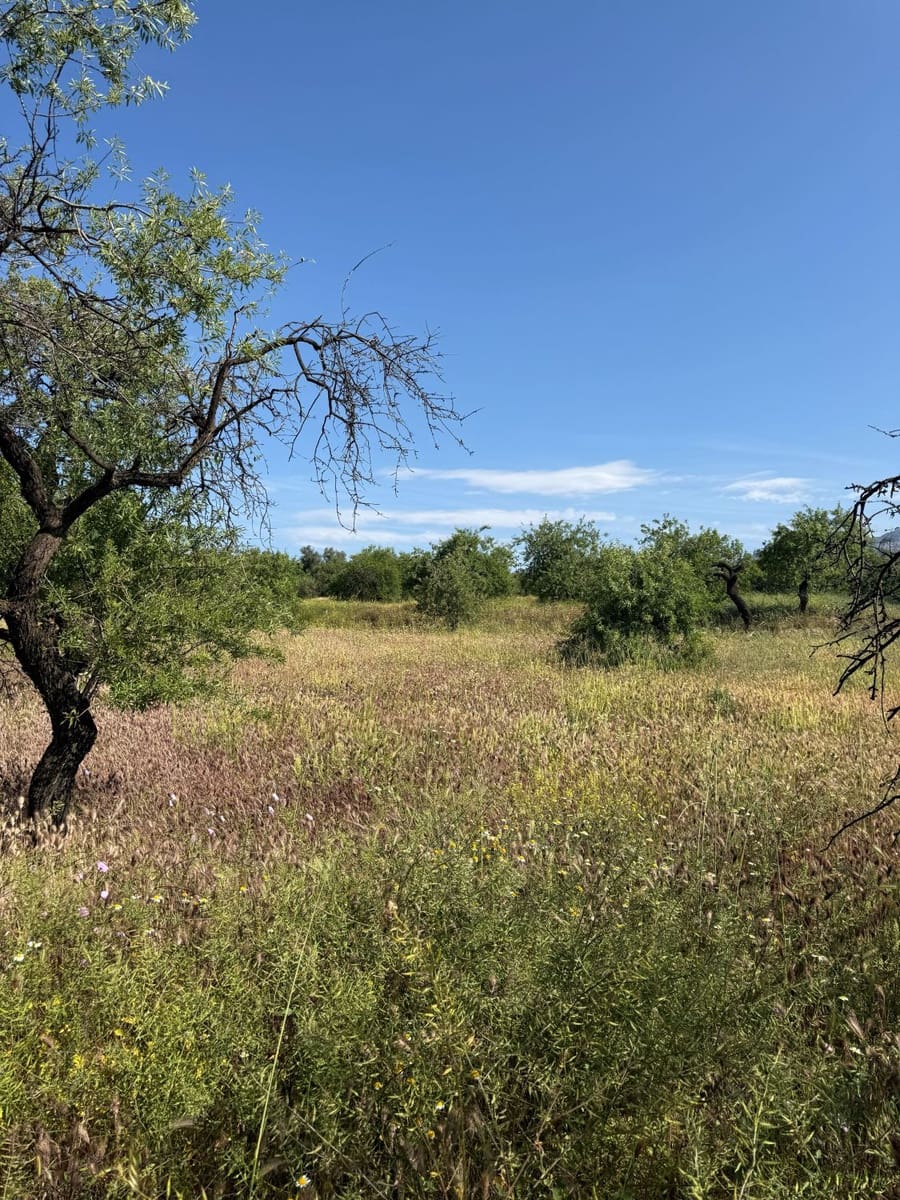 Finca/Landhuis te koop in Chite - € 89.000 (Ref: 9822374)
