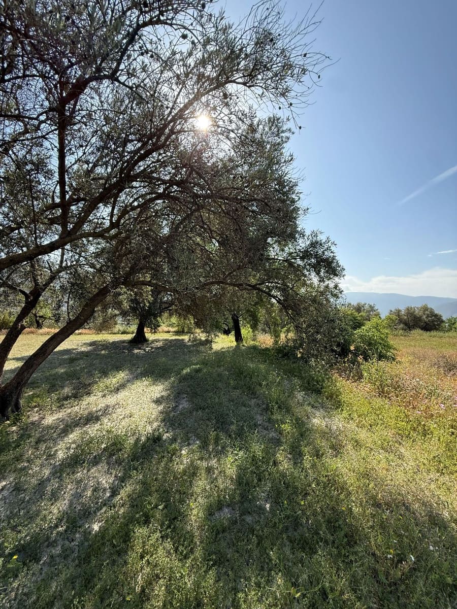 Finca/Landhuis te koop in Chite - € 89.000 (Ref: 9822374)