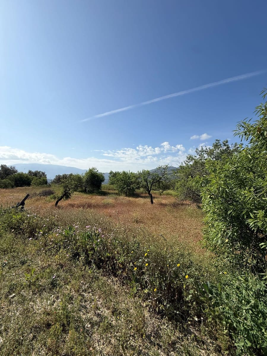 Finca/Landhuis te koop in Chite - € 89.000 (Ref: 9822374)