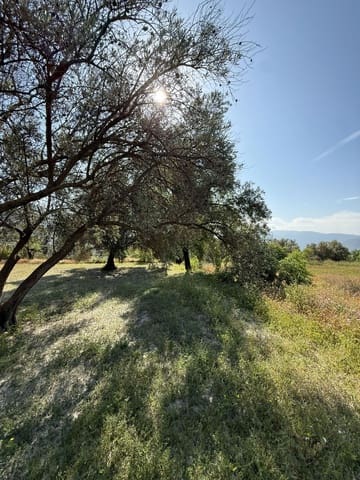 Finca/Casa Rural en Chite, Lecrín en venta - 89.000 € (Ref: 9822374)