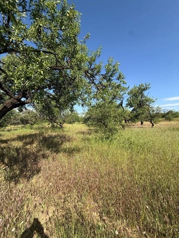 Finca/Casa Rural en Chite, Lecrín en venta - 89.000 € (Ref: 9822374)